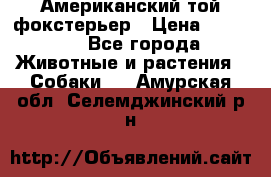 Американский той фокстерьер › Цена ­ 25 000 - Все города Животные и растения » Собаки   . Амурская обл.,Селемджинский р-н